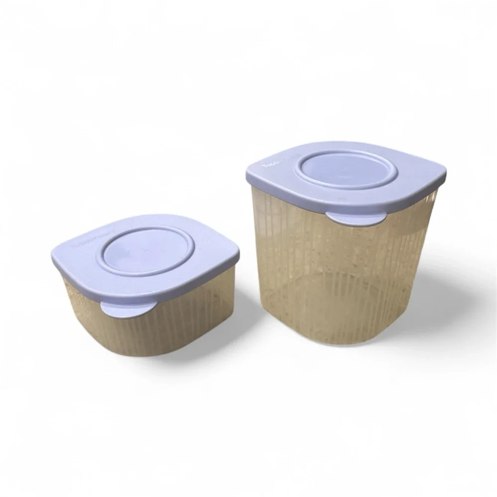 Tupperware Containers with Purple Lids